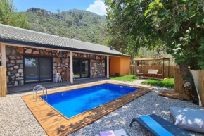 Villa Mitos , Üzüm Bağları ve Zeytinlikler içinde Mini bir Cennet ve Taş Ev - Дом Мифы